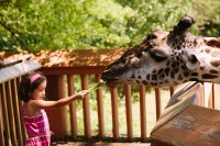 Cleveland Metroparks Zoo