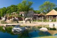 Cleveland Metroparks Zoo